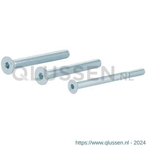 GPF Bouwbeslag AG0335 binnenzeskantbout PK DIN 7991 10.9 galvanisch verzinkt voor set veiligheids schilden tot deurdikte 64 mm 2x M8x70/1x M6x70 mm gegalvaniseerd AG0335