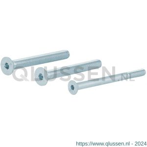 GPF Bouwbeslag AG0337 binnenzeskantbout PK DIN 7991 10.9 galvanisch verzinkt voor set veiligheids schilden tot deurdikte 84 mm 2x M8x90/1x M6x90 mm gegalvaniseerd AG0337