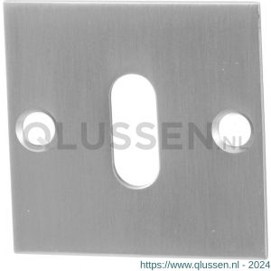 GPF Bouwbeslag RVS 0901.08 sleutelrozet plat vierkant 50x50x2 mm RVS geborsteld GPF090108107