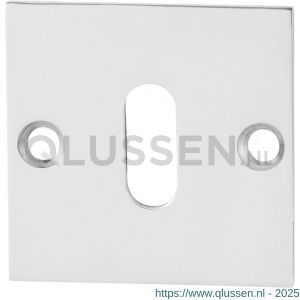 GPF Bouwbeslag RVS 0901.48 sleutelrozet plat vierkant 50x50x2 mm RVS gepolijst GPF090148107