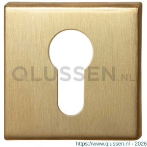 GPF Bouwbeslag PVD 0902.02P4 cilinderrozet vierkant 50x50x8 mm PVD mat messing GPF0902021P4
