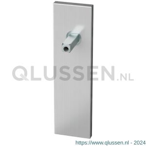 GPF Bouwbeslag RVS 1100.15.401 BB56 kortschild rechthoekig 170x46x8 mm BB56 met vastgelaste knopvastzetter RVS geborsteld GPF110015401