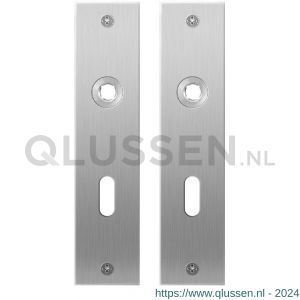 GPF Bouwbeslag RVS 1100.16 BB56 plaatschild rechthoekig zonder veer 181x41x2 mm BB56 RVS geborsteld GPF110016101