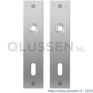 GPF Bouwbeslag RVS 1100.16 BB72 plaatschild rechthoekig zonder veer 181x41x2 mm BB72 RVS geborsteld GPF110016111