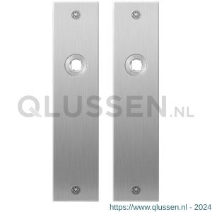 GPF Bouwbeslag RVS 1100.16 blind plaatschild rechthoekig zonder veer 181x41x2 mm blind RVS geborsteld GPF110016100