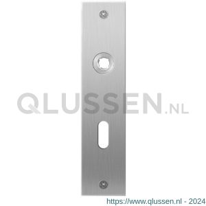 GPF Bouwbeslag RVS 1100.16L/R BB56 deurkruk gatdeel links-rechtswijzend plaatschild rechthoekig zonder veer 181x41x2 mm BB56 RVS geborsteld GPF110016201