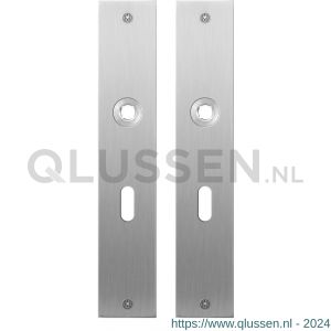 GPF Bouwbeslag RVS 1100.26 BB56 plaatschild rechthoekig zonder veer 220x40x2 mm BB56 RVS geborsteld GPF110026101