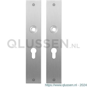 GPF Bouwbeslag RVS 1100.26 PC55 plaatschild rechthoekig zonder veer 220x40x2 mm PC55 RVS geborsteld GPF110026132