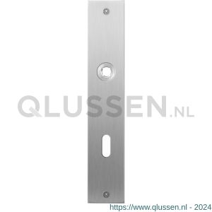 GPF Bouwbeslag RVS 1100.26L/R BB72 deurkruk gatdeel links-rechtswijzend plaatschild rechthoekig zonder veer 220x40x2 mm BB72 RVS geborsteld GPF110026211