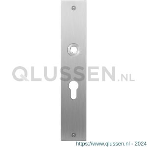 GPF Bouwbeslag RVS 1100.26L/R PC55 deurkruk gatdeel links-rechtswijzend plaatschild rechthoekig zonder veer 220x40x2 mm PC55 RVS geborsteld GPF110026232