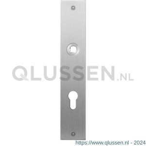 GPF Bouwbeslag RVS 1100.26L/R PC72 deurkruk gatdeel links-rechtswijzend plaatschild rechthoekig zonder veer 220x40x2 mm PC72 RVS geborsteld GPF110026242