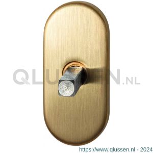 GPF Bouwbeslag PVD 1100.30P4 draaikiepmechanisme ovaal 65x30x12 mm met stift binnenzijde 32 mm PVD mat messing GPF1100301P4