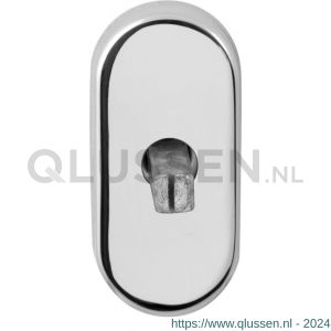 GPF Bouwbeslag RVS 1100.53 draaikiepmechanisme ovaal 65x30x12 mm met stift binnenzijde 32 mm RVS gepolijst GPF110053100