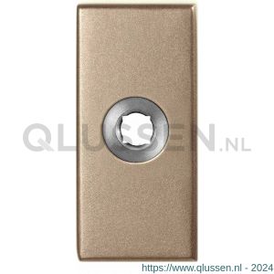 GPF Bouwbeslag Anastasius 1101.A4 L rechthoekig click rozet 70x32x10 mm linkswijzend Champagne blend GPF1101A40200