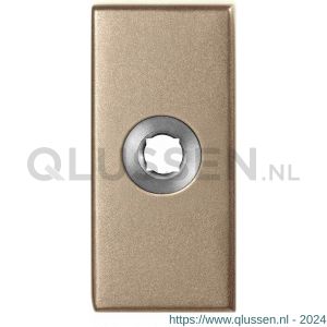 GPF Bouwbeslag Anastasius 1101.A4 rechthoekig click rozet 70x32x10 mm Champagne blend GPF1101A40100