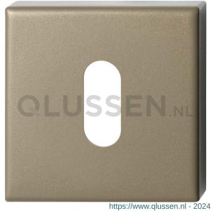 GPF Bouwbeslag Anastasius 1102.A4.0901 sleutelrozet 50x50x8 mm Champagne blend GPF1102A40901