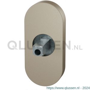 GPF Bouwbeslag Anastasius 1104.A4.0400 ovaal Click rozet 70x32x10 mm met vastgelaste knopvastzetter Champagne blend GPF1104A40400