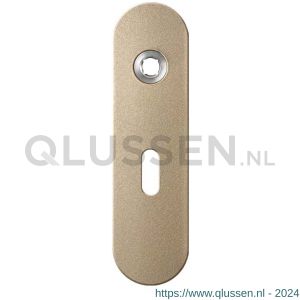 GPF Bouwbeslag Anastasius 1110.A4L BB56 deurkruk gatdeel linkswijzend kortschild afgerond 169x46x8,5 mm BB56 Champagne blend GPF1110A40201