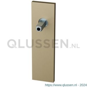 GPF Bouwbeslag Anastasius 1115.A4.401 BB56 kortschild rechthoekig 170x46x8 mm BB56 met vastgelaste Champagne blend GPF1115A40401