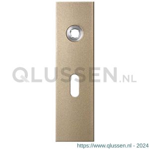 GPF Bouwbeslag Anastasius 1115.A4R BB56 deurkruk gatdeel rechtswijzend kortschild rechthoekig 169x46x8,5 mm BB56 Champagne blend GPF1115A40301