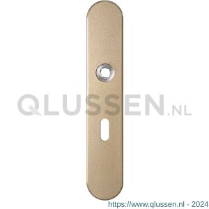 GPF Bouwbeslag Anastasius 1120.A4R BB56 deurkruk gatdeel rechtswijzend langschild afgerond 218x40x8,5 mm BB56 Champagne blend GPF1120A40301