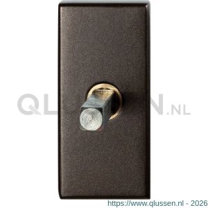 GPF Bouwbeslag Anastasius 1131.A1.0032 draaikiepmechanisme rechthoekig 65x30x12 mm met stift binnenzijde 32 mm Dark blend GPF1131A10032