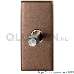 GPF Bouwbeslag Anastasius 1131.A2.0032 draaikiepmechanisme rechthoekig 65x30x12 mm met stift binnenzijde 32 mm Bronze blend GPF1131A20032