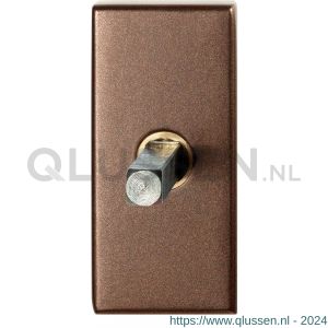 GPF Bouwbeslag Anastasius 1131.A2.0060 draaikiepmechanisme rechthoekig 65x30x12 mm met stift binnenzijde 65 mm Bronze blend GPF1131A20060