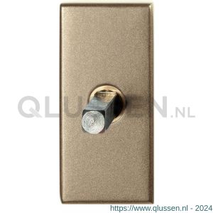 GPF Bouwbeslag Anastasius 1131.A4.0060 draaikiepmechanisme rechthoekig 65x30x12 mm met stift binnenzijde 65 mm Champagne blend GPF1131A40060