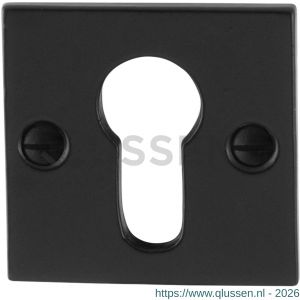 GPF Bouwbeslag Smeedijzer 6902.08 cilinderrozet vierkant 52x52x4 mm smeedijzer zwart GPF690208108