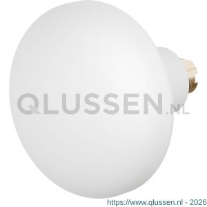 GPF Bouwbeslag ZwartWit 8849.62 S5 Paddenstoel knop 65 mm voor veiligheids schilden vast met wisselstift wit GPF884962400