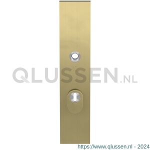 GPF Bouwbeslag PVD 9018.55P4 veiligheids buitenschild SKG*** 248x52x11 mm rechthoekig met kerntrekbeveiliging PC55 massief PVD mat messing GPF9018P4032