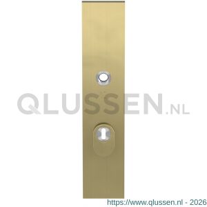 GPF Bouwbeslag PVD 9018.72P4 veiligheids buitenschild SKG*** 248x52x11 mm rechthoekig met kerntrekbeveiliging PC72 massief PVD mat messing GPF9018P4042