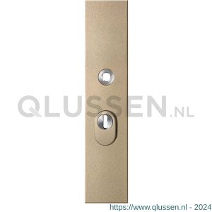 GPF Bouwbeslag Anastasius 9018.A4 veiligheids buitenschild SKG*** 248x52x11 mm rechthoekig met kerntrekbeveiliging PC55 massief Champagne blend GPF9018A4032