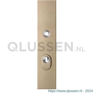 GPF Bouwbeslag Anastasius 9018.A4 veiligheids buitenschild SKG*** 248x52x11 mm rechthoekig met kerntrekbeveiliging PC72 massief Champagne blend GPF9018A4042