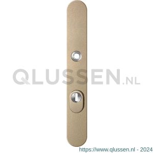 GPF Bouwbeslag Anastasius 9028.A4 veiligheids buitenschild smal SKG*** 257x35x11 mm afgerond met kerntrekbeveiliging PC72 massief Champagne blend GPF9028A4042