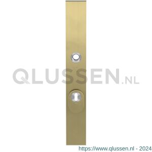 GPF Bouwbeslag PVD 9038.72P4 veiligheids buitenschild smal SKG*** 257x35x11 mm rechthoekig met kerntrekbeveiliging PC72 massief PVD mat messing GPF9038P4042