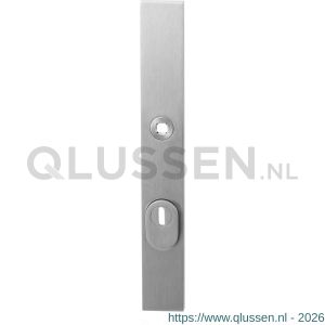 GPF Bouwbeslag RVS 9038.92 veiligheids buitenschild smal SKG*** 257x35x11 mm rechthoekig met kerntrekbeveiliging PC92 massief RVS geborsteld GPF903809062