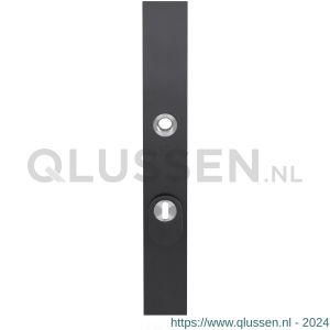 GPF Bouwbeslag PVD 9038.92P1 veiligheids buitenschild smal SKG*** 257x35x11 mm rechthoekig met kerntrekbeveiliging PC92 massief PVD antraciet GPF9038P1062