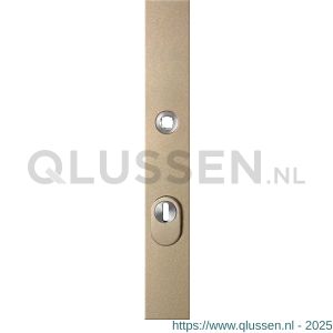 GPF Bouwbeslag Anastasius 9038.A4 veiligheids buitenschild smal SKG*** 257x35x11 mm rechthoekig met kerntrekbeveiliging PC72 massief Champagne blend GPF9038A4042