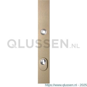 GPF Bouwbeslag Anastasius 9038.A4 veiligheids buitenschild smal SKG*** 257x35x11 mm rechthoekig met kerntrekbeveiliging PC92 massief Champagne blend GPF9038A4062