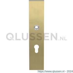 GPF Bouwbeslag PVD 9112.55P4 veiligheids binnenschild SKG*** 248x52x8 mm rechthoekig PC55 PVD mat messing GPF9112P4032