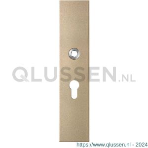 GPF Bouwbeslag Anastasius 9112.A4 veiligheids binnenschild SKG*** 248x52x8 mm rechthoekig PC55 Champagne blend GPF9112A4032