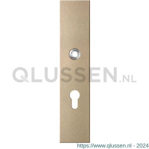 GPF Bouwbeslag Anastasius 9112.A4 veiligheids binnenschild SKG*** 248x52x8 mm rechthoekig PC72 Champagne blend GPF9112A4042