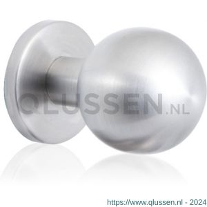 GPF Bouwbeslag RVS 9822.09 kogel voordeurknop 63 mm op rozet 63 mm RVS geborsteld GPF982209400