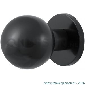 GPF Bouwbeslag PVD 9822.P1 kogel voordeurknop 63 mm op rozet 63 mm PVD antraciet GPF9822P1400