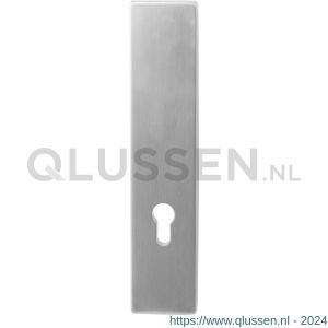 GPF Bouwbeslag RVS 9847.55 veiligheids buitenschild SKG*** 248x52x11 mm rechthoekig PC55 zonder krukgat RVS geborsteld GPF984709032