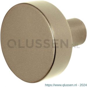 GPF Bouwbeslag Anastasius 9852.A4 S5 vlakke knop 52x16 mm voor veiligheids schilden vast met wisselstift Champagne blend GPF9852A40400