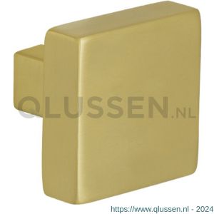 GPF Bouwbeslag PVD 9856.P4 S4 vierkante knop 53x53x16 mm voor veiligheids schilden vast met bout M10 PVD mat messing GPF9856P4410