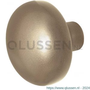 GPF Bouwbeslag Anastasius 9857.A4 S5 Paddenstoel knop 65 mm voor veiligheids schilden vast met wisselstift Champagne blend GPF9857A40400